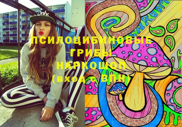 spice Вязники