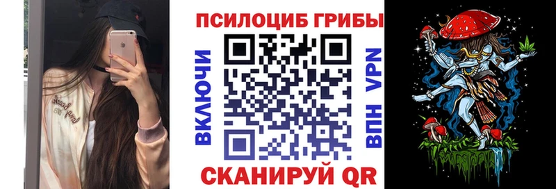 Купить где  Любим  Псилоцибиновые грибы GOLDEN TEACHER 